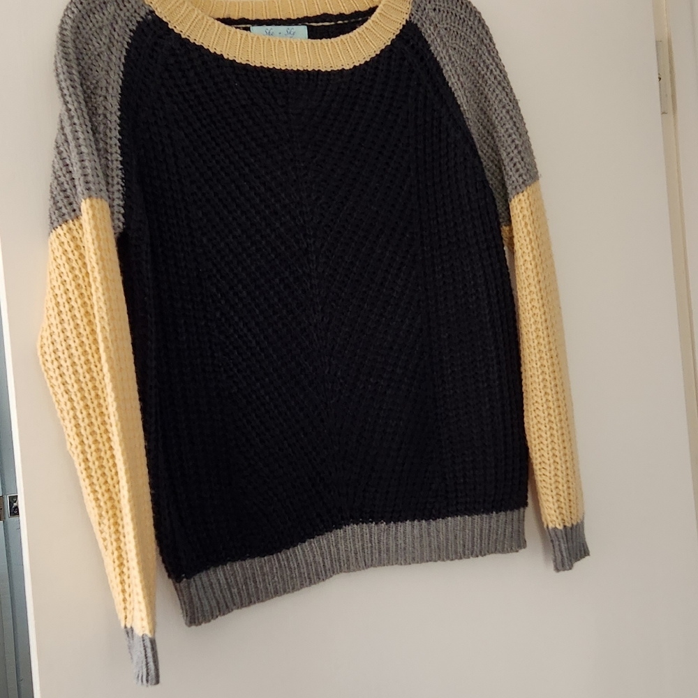 She + Sky colorblock sweater